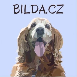 Logo Bilda.cz