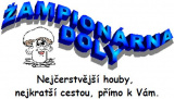Logo pasekovi.estranky.cz