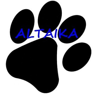 Logo Altaika